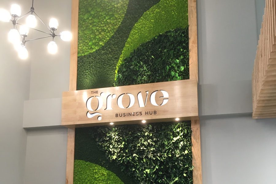 Benetti Home — arredo per ufficio, pareti verdi decorative e giardini verticali — foto 3